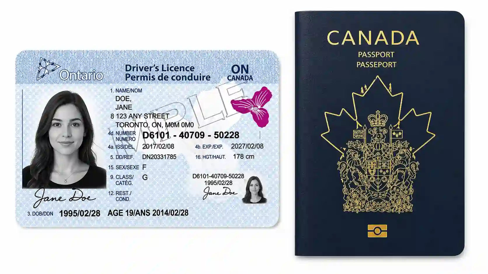 Canadian passport and driver’s license used for identity verification for police clearance and fingerprinting services